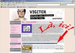 medium_vigitox_copie.3.jpg